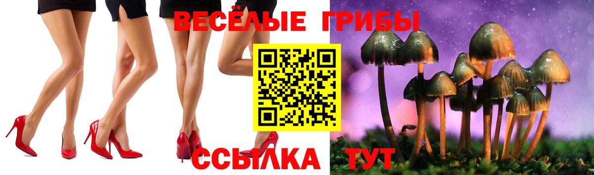 Мариинск  Галлюциногенные грибы прущие грибы  Вход с VPN 